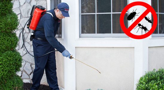Evka 2 Gümüşkurt İlaçlama böcek ilaçlama ve haşere kontrolü — ilaclama-tr.com